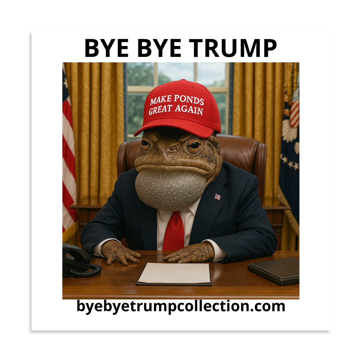 Crapaud présidentiel — Affiche BYE BYE TRUMP — aperçu du produit