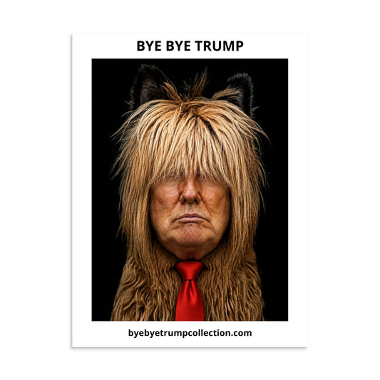 Trump mal coiffé — Affiche BYE BYE TRUMP — aperçu du produit