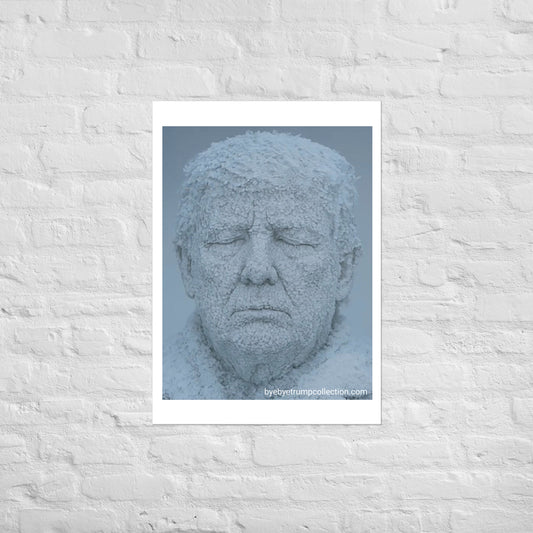 Trump gelé — Affiche — vue de face 2, Bye Bye Trump Collection